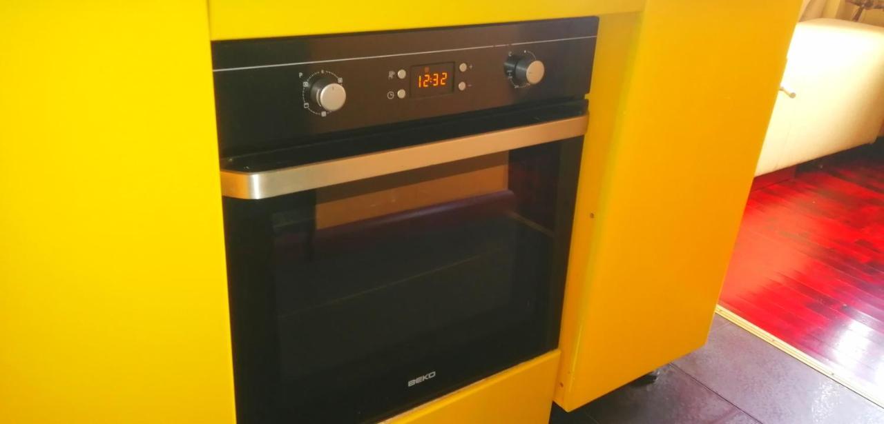 Delux 1 Bedroom Studio In City Centre 里加 外观 照片