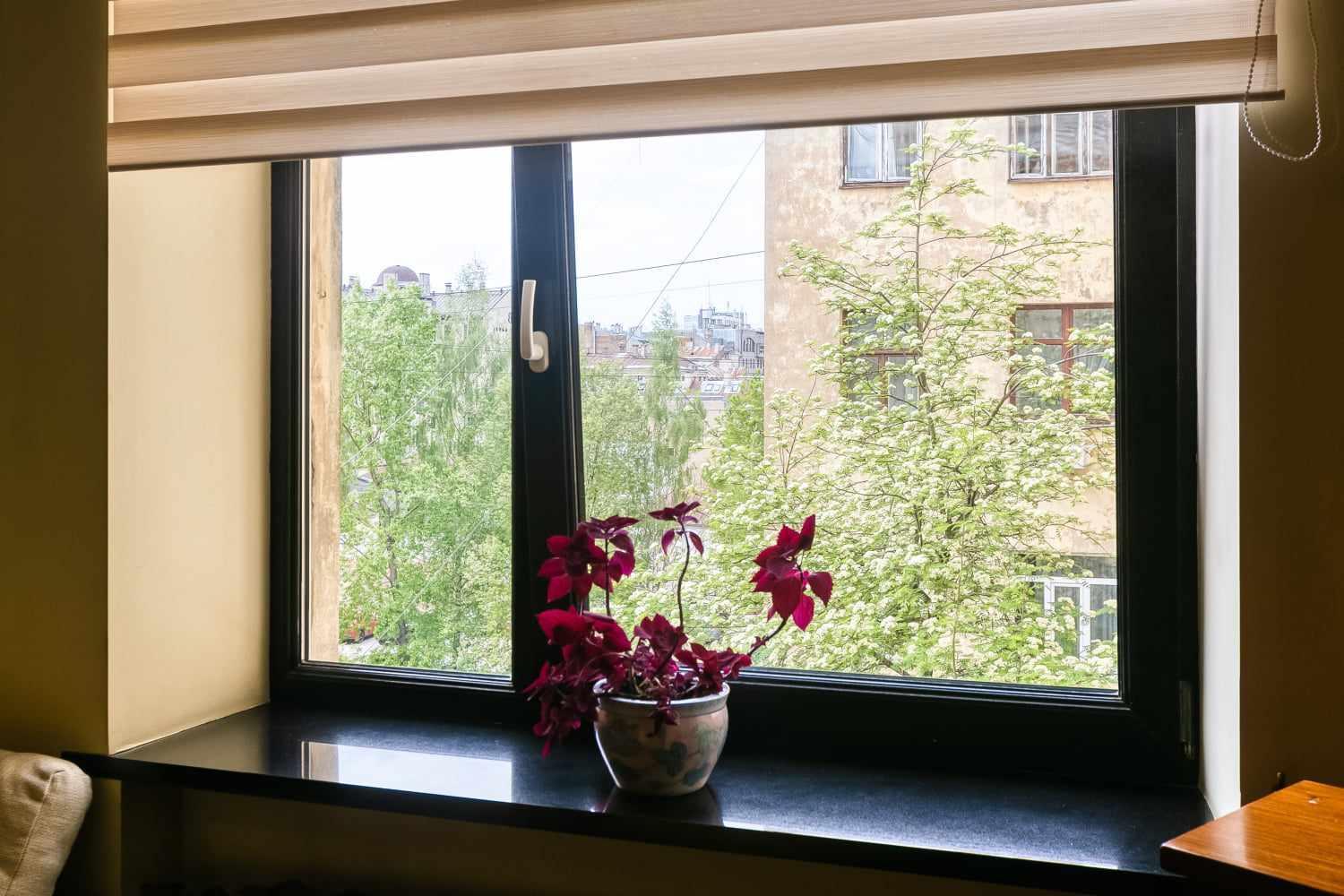 Delux 1 Bedroom Studio In City Centre 里加 外观 照片